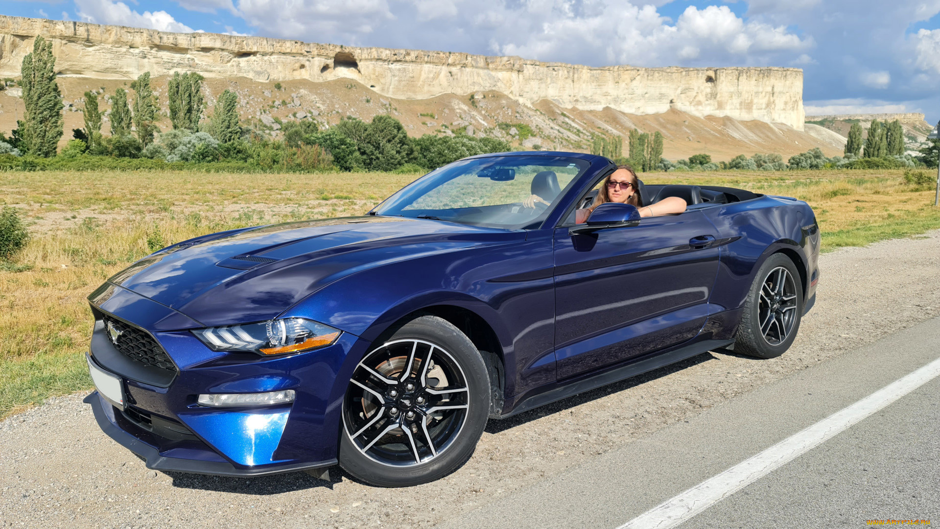 ����������, -���� � ���������, mustang